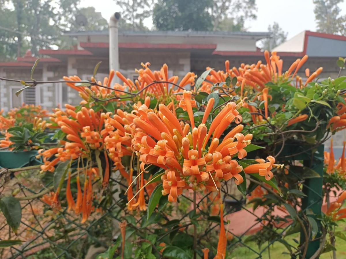 Hotel Coorg Kolamotte Gonikoppal Zewnętrze zdjęcie