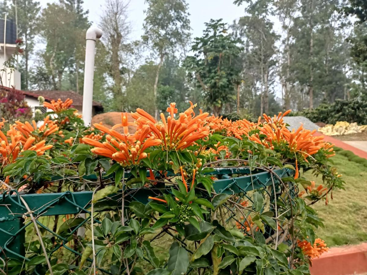 Hotel Coorg Kolamotte Gonikoppal Zewnętrze zdjęcie