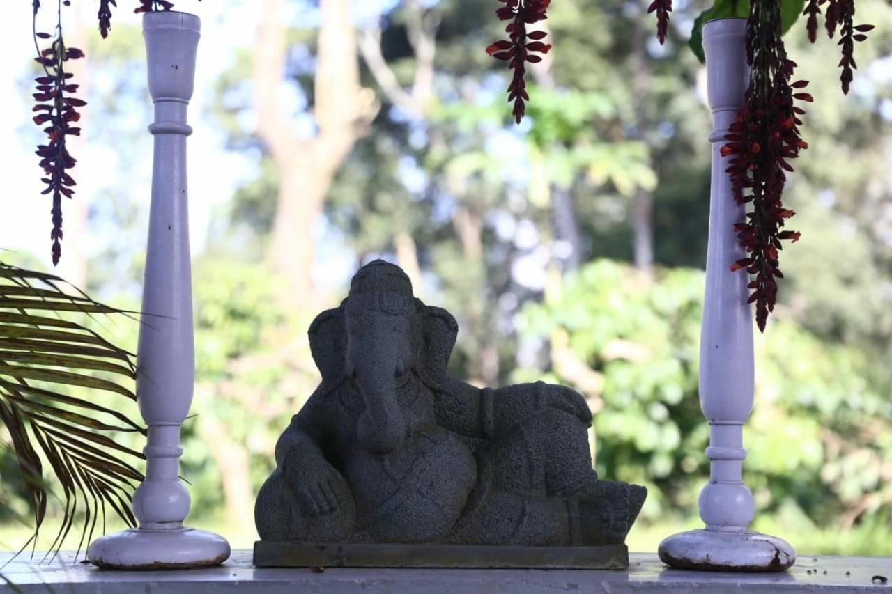Hotel Coorg Kolamotte Gonikoppal Zewnętrze zdjęcie
